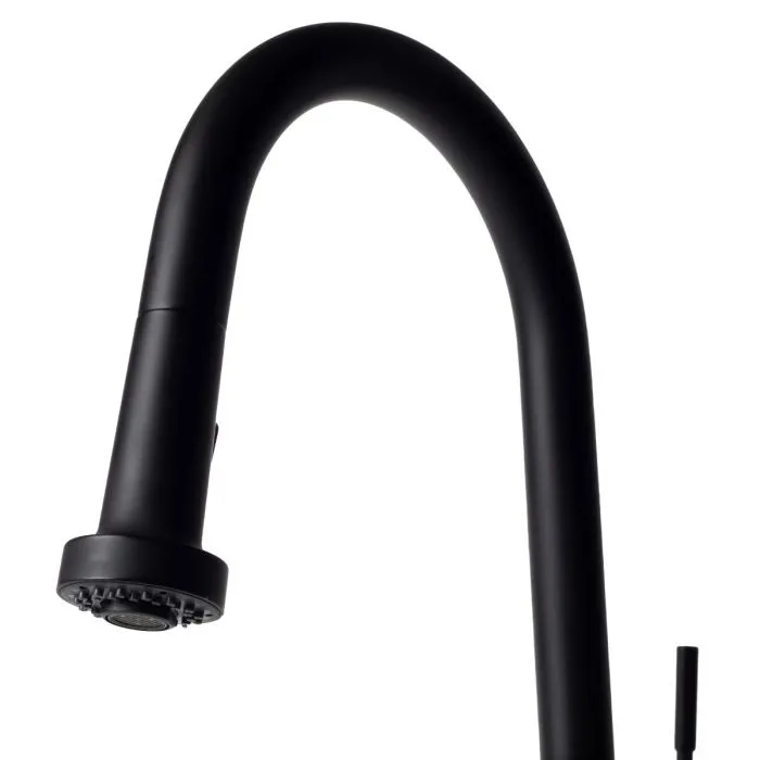 ZLINE Monet Kitchen Faucet FPNZ-MB