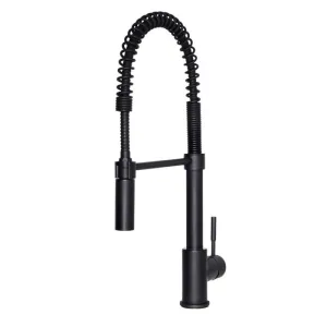 ZLINE Sierra Kitchen Faucet FSTB-MB