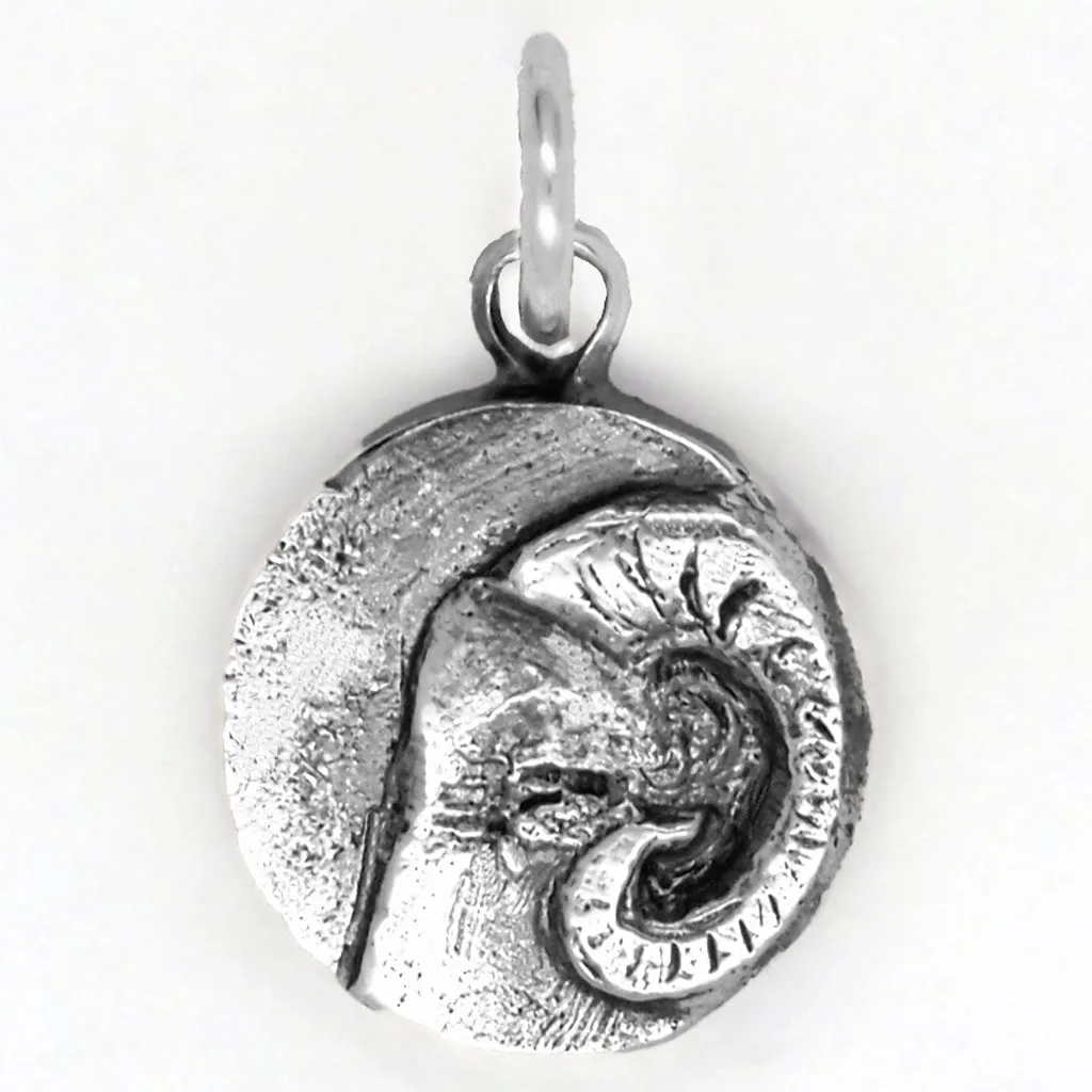 Zodiac Charm - Capricorn