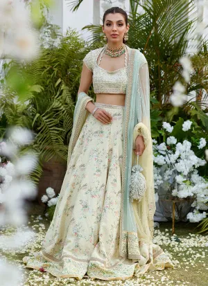 Zoe lemon Mint hand embellished Lehnga Choli